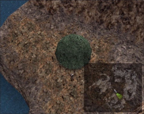 Chocobo Forest (Nectar Peninsula) Chocobo Forest (Nectar Peninsula)
